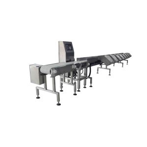 China Bucket System SUS304 Weight Grader Machine 3000g Fish Grader machine wholesale