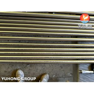 SA213 TP304L Austenitic Stainless Steel Heat Exchanger Tube Bright Annealed