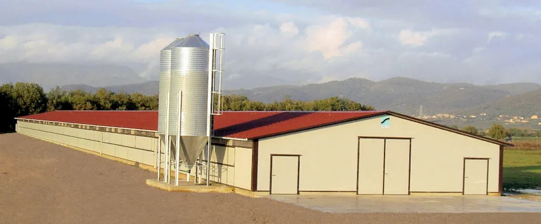 Type H Laying Hens Breeding Chicken Automatic Equipment (KXD-LC301)