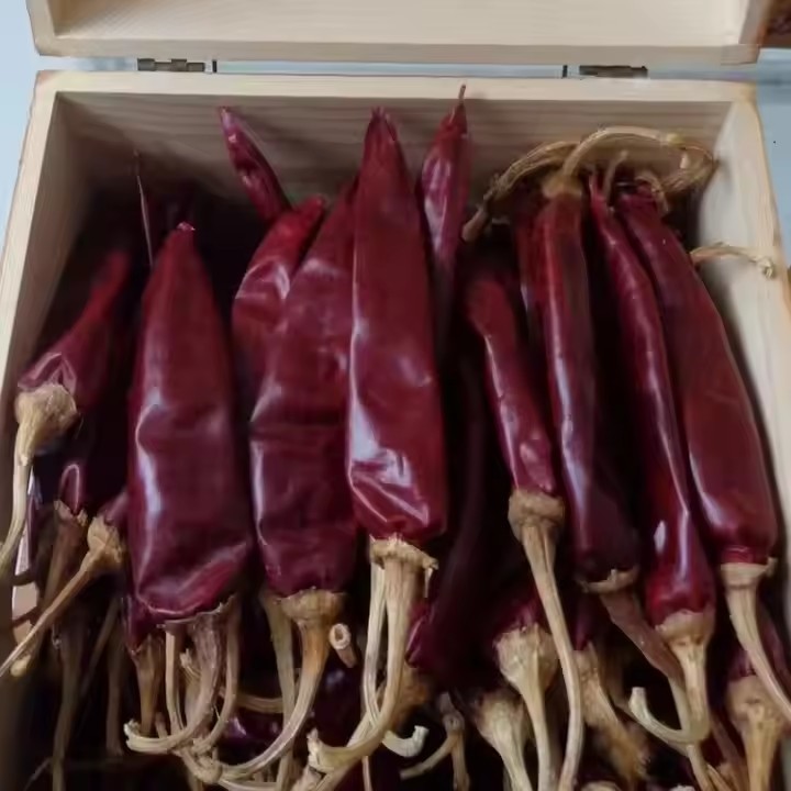 China JINTA Red Chilli Peppers Air Dried to Preserve Nutrients wholesale