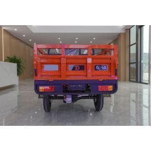 Manufacturers Direct Sales Long Endurance Electric Tricycle with Cargo Box