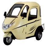800W/1000W Motor Front Disc Brake Rear Wheels Drive 3 Wheel Electric Mobility