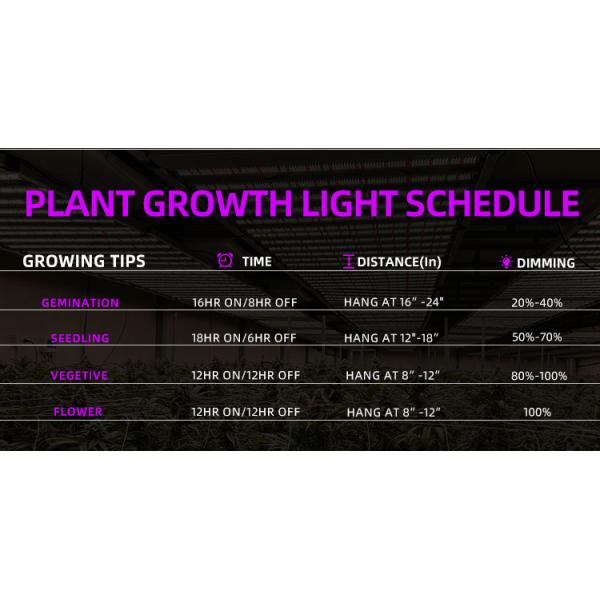 Commercial Greenhouse LED Grow Lights 1200W Full Spectrum Grow Lights For Indoor Plants