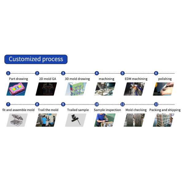 Multipurpose ABS PP PA6 PA66 Plastic Injection Mold with 2D/3D Drawing Format