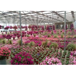 Beautiful Appearance Garden Glass Greenhouse Large Ventilated Area Shouguan