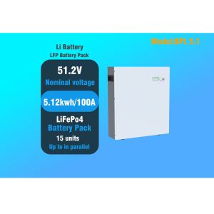 China 51.2v Lifepo4 Battery For Solar Storage wholesale