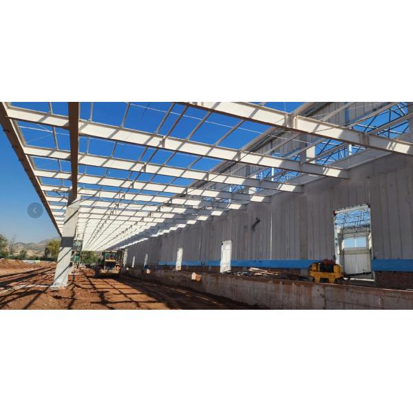 Commercial Prefab Steel Structure Building Large Space Steel Frame Structure Building