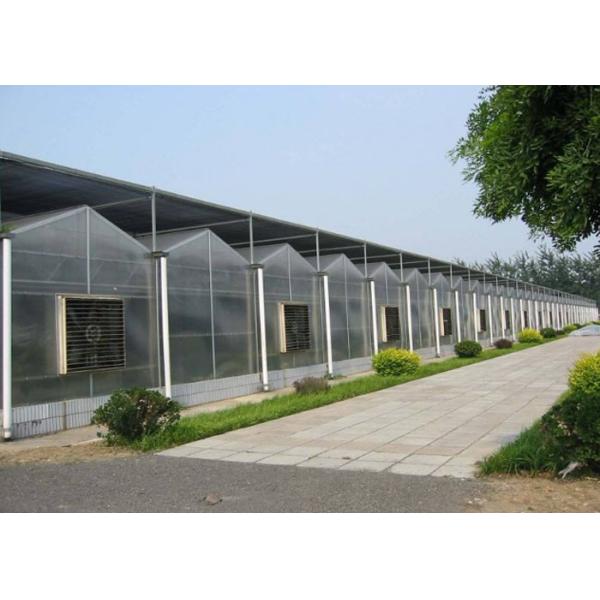 Garden Flowers PC Sheet Greenhouse , Farm Vegetables Flowers Multi Span