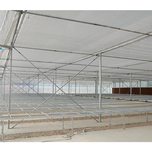 Large Multi Span Greenhouse 200micron Plastic Film Greenhouse For Vegetables And Flowers