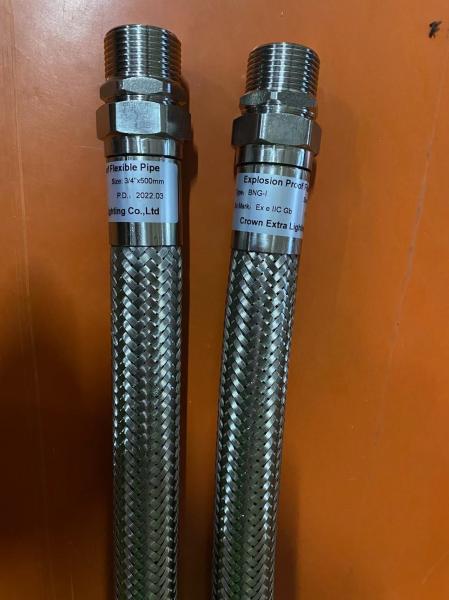 IP66 WF2 Certified Explosion Proof Conduit | IP66 WF2 Protection | Intrinsic