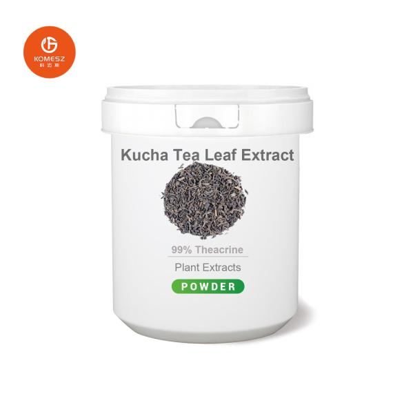 Quality Plant Extract Green Tea Extract Active Ingredient Epicatechin EC Increase Muscle for sale