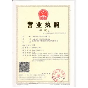 Shaanxi Botai Automobile Accessories Co.,Ltd. Certifications
