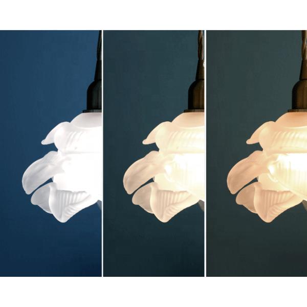 White Modern Glass Pendant Lamp Home Indoor Flower Nordic Hanging Light