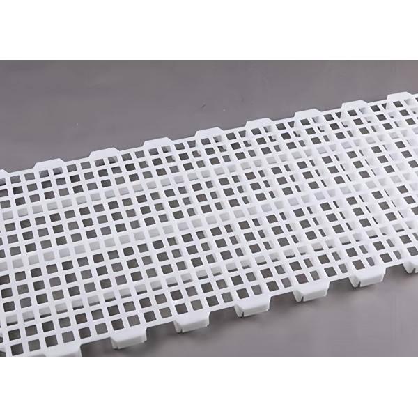Corrosion Resistant Plastic Poultry Slats Easy Pull Chicken House Floor Slats