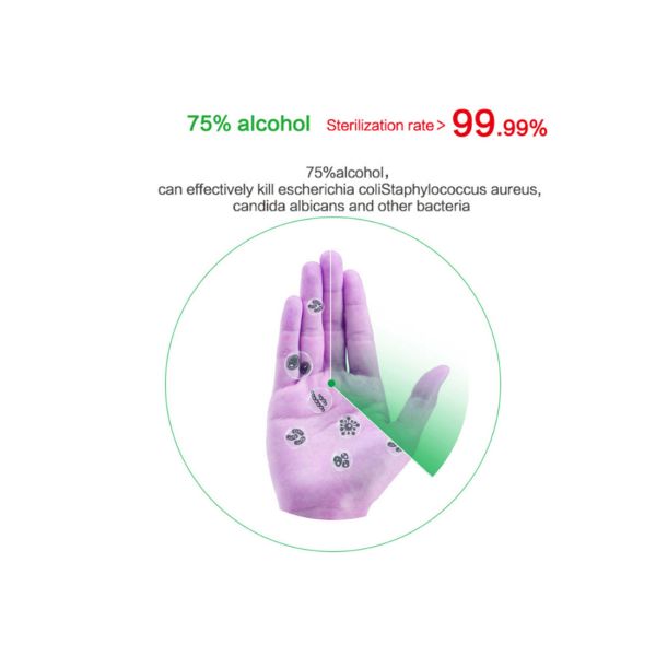 Alcohol Based Hand Sanitizer 75% Alcohol Gel 500ml Disinfectant