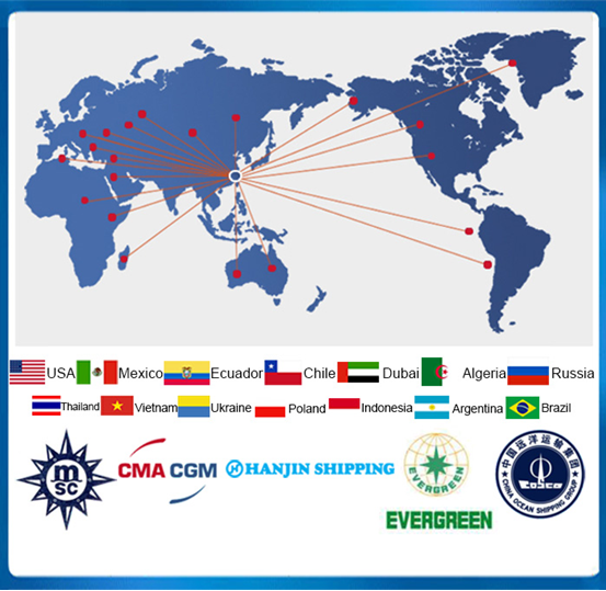 7*7/1*7 Construction Steel Wire Rope for All Kinds of Locks Clothesline Helmet Safety at Affordable