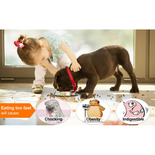 Slow Eat Dog Food Bowl Slow Feeding Interactive Bloat Stop Dog Bowls For Fun