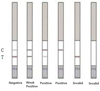 Melamine Rapid Test Strip 10~15 ppb For Milk