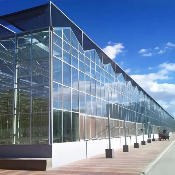 Reasonable price Galvanized steel structure Venlo type glass greenhouse polycarbonate greenhouse