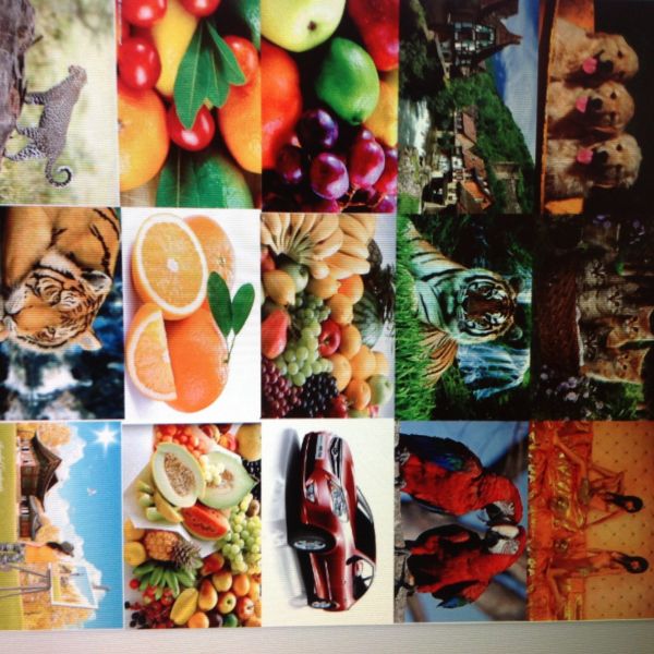 High Speed Flexo Label Printing Machine 80m / Min CI Central Drum Pp Shopping Bag