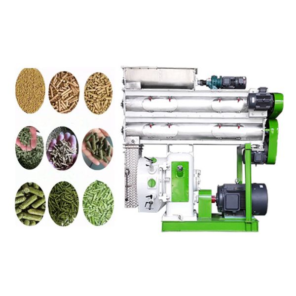 China Automatic Animal Feed Processing Equipment Poultry Feed Pellet Making Machine wholesale