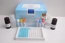 China Portable Elisa Microplate Reader With Large LCD Display wholesale