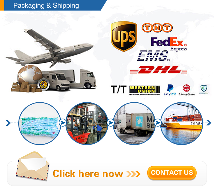 10pieces/Bag Nonwoven Disposable Earloop Mask With Shield