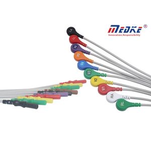 China Landcom 1m Length AHA 10 Lead Holter ECG Leadwires wholesale