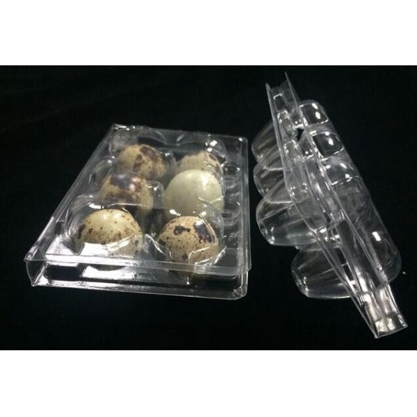 hot sells egg trays clear quail egg trays with 6 holes 2*3 holes PVC / PET / APET... quail egg container