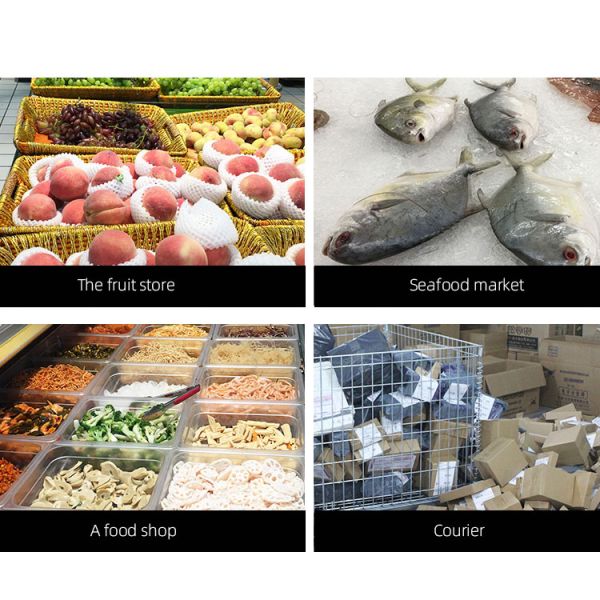 Accurate Food Weight Measurement Battery Powered Rectangle Electronic LCD Display Weighing Scale 40 kg with 1g Division