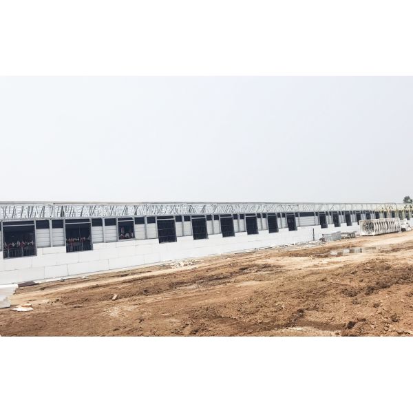 Steel Piggery House Onsite Installation Chicken Shed Construction