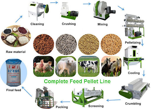 50TPD Chicken Feed Production Line 1mm To 8mm Feed Pelletizing Machine