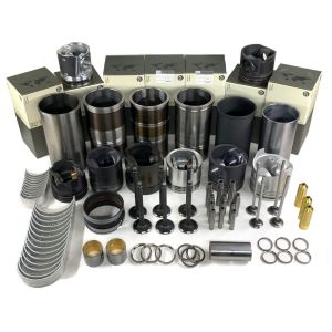 China C16 Engine Overhaul Rebuild Kit For Parts Online wholesale