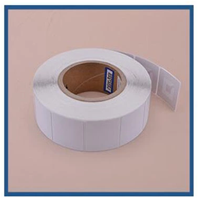 Anti Shoplifting Electronic Shelf EAS Security Tag 45 * 10.8mm