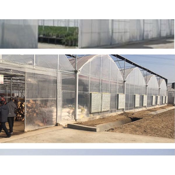 30 x 100 Vegetable Growing Film Covered Multi-span Arch Greenhouse with PO Cover
