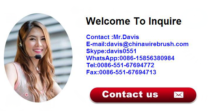 Diamond Disc Sanding Brushes with Shank for Metal Deburring