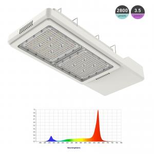 China IP66 Greenhouse Supplemental LED Grow Light Fits Seamlessly In Existing HPS Layouts wholesale