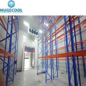 Commercial Freezer Room Refrigeration Parts with Superior Cooling System