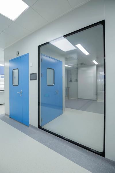 Quality HE201 0.8mm Galvanized Steel Sandwich Clean Room Door for Food Industrial for sale