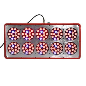 China 360W Apollo 10 COB LED Grow Light with CE RoHS wholesale