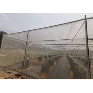 China Strong Frame Metal Frame Greenhouse For Potted Flower Cultivation wholesale