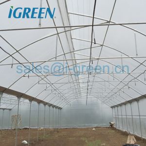 Climate Controlled Agricultural Greenhouse Hot Dipped Galvanized Steel