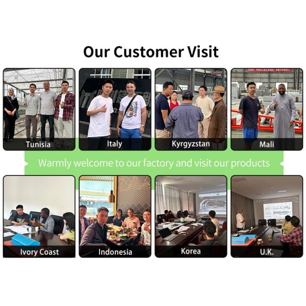 Multi-Span Agricultural Greenhouse 6m-12m Width with 150/200micron PE Film