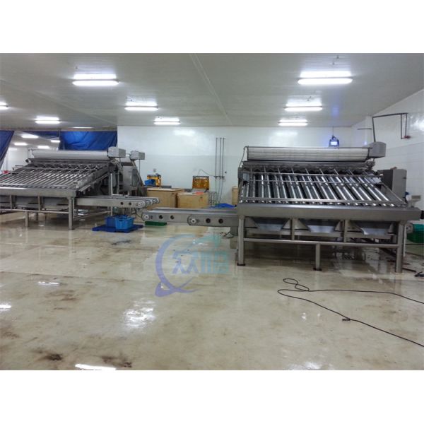 Anti Erosion Shrimp Grading Machine Oilproof Stable 1500KG Weight