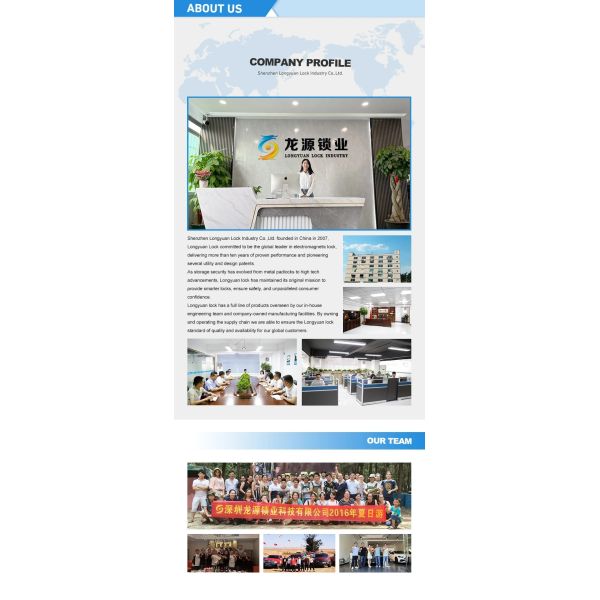 DC 12V Solenoid Door Lock System With Max Working Current 2.5A±15%