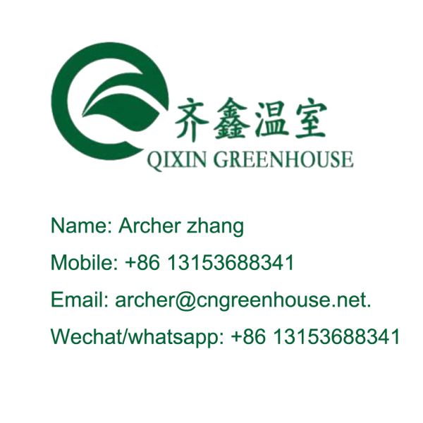 30 x 100 Vegetable Growing Film Covered Multi-span Arch Greenhouse with PO Cover