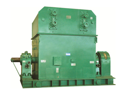 T Series IP20 3 Phase Induction Motor IM 7311 6kV AC Synchronous Motor