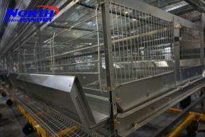 High Quality poultry Egg Layer Chicken Cage(ISO9001)