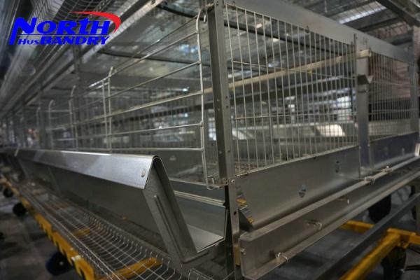 Quality High Quality poultry Egg Layer Chicken Cage(ISO9001) for sale