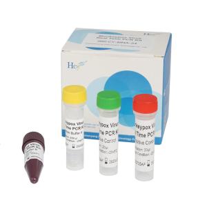 China Monkeypox Real Time PCR Kit Laboratory Rapid Test Monkeypox Virus Test Kit wholesale